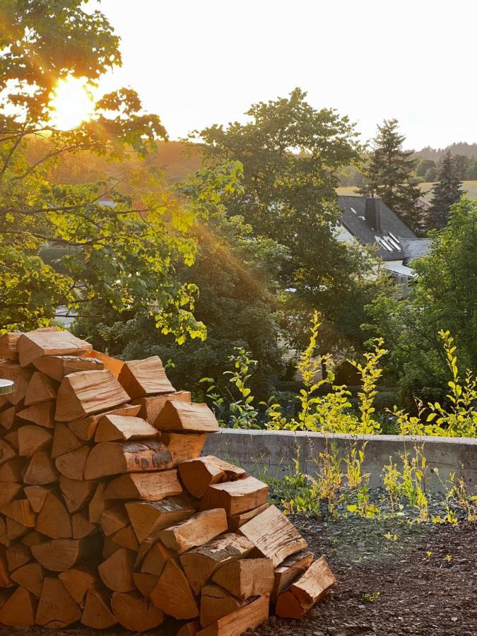 Haus Maensel Lägenhet Kelberg Exteriör bild